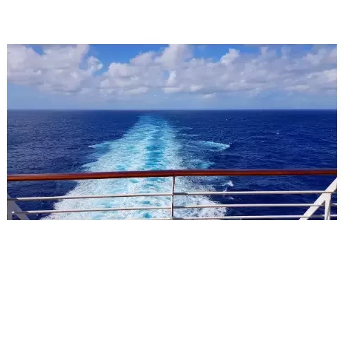 From Caribbean Bliss to Mediterranean Charm: Where Will the Sea Take You?